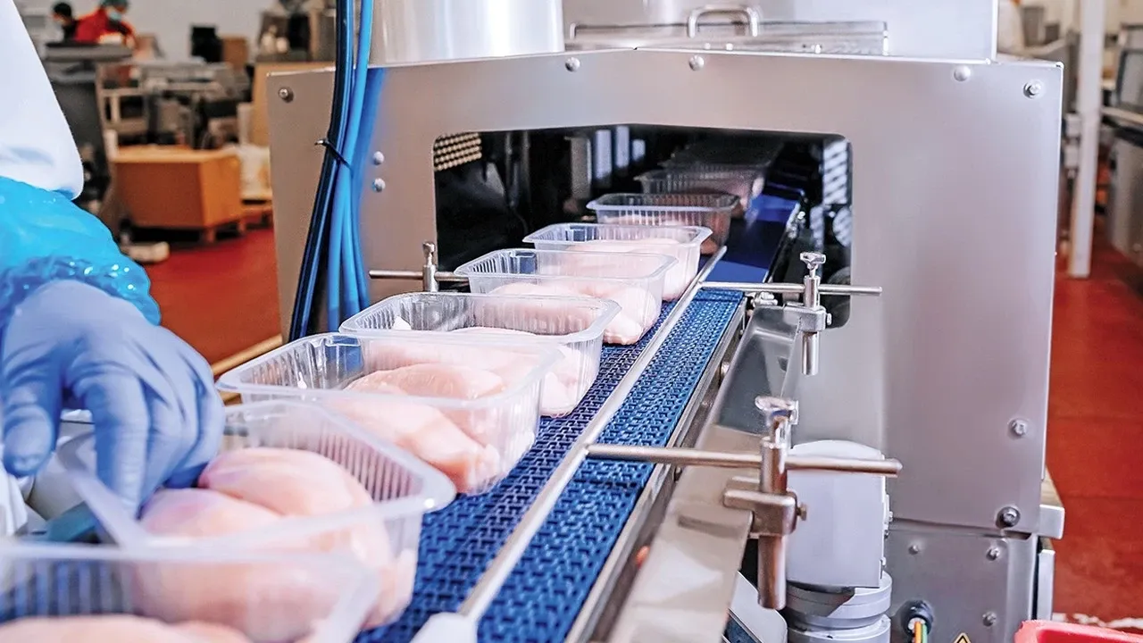 Piliç sektörüne milyarlık rekabet cezası! Banvit tutarı açıkladı