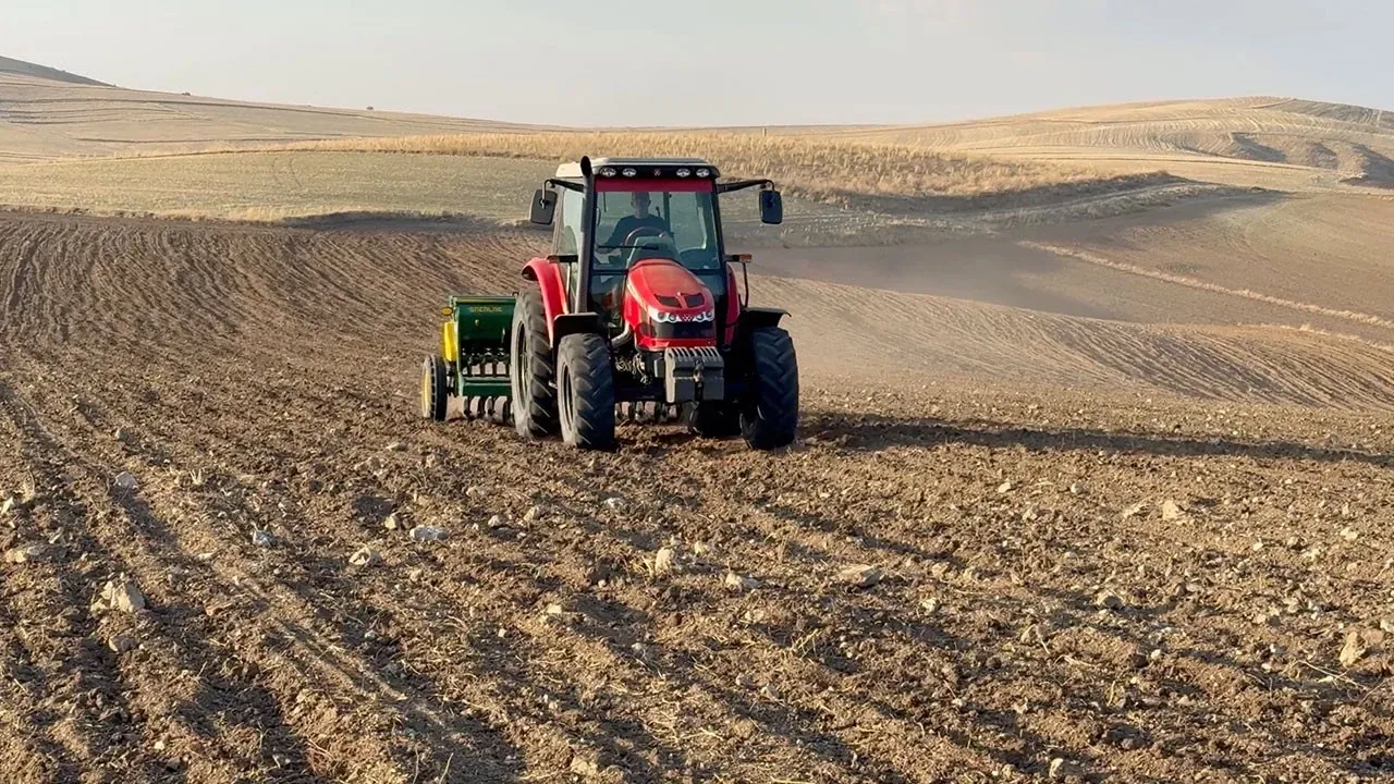 Tarım ÜFE’de güçlü yükseliş: Son 7 ayın en yüksek seviyesi